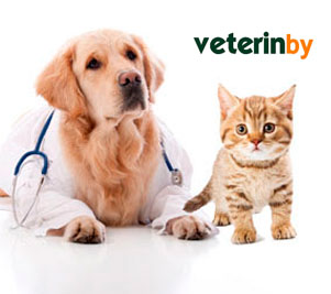 Veterinary Hospital in Australia