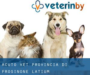 Acuto vet (Provincia di Frosinone, Latium)