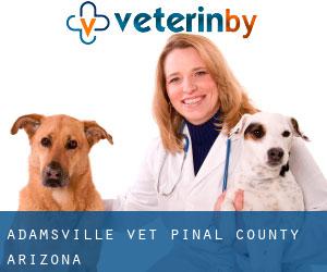 Adamsville vet (Pinal County, Arizona)