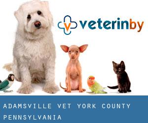 Adamsville vet (York County, Pennsylvania)