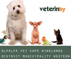 Alfalfa vet (Cape Winelands District Municipality, Western Cape)