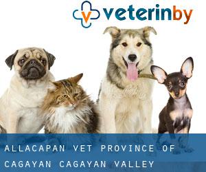 Allacapan vet (Province of Cagayan, Cagayan Valley)