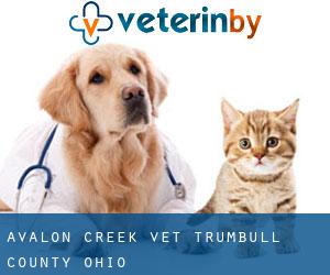 Avalon Creek vet (Trumbull County, Ohio)