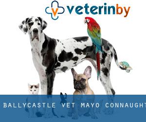 Ballycastle vet (Mayo, Connaught)