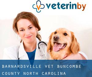 Barnardsville vet (Buncombe County, North Carolina)