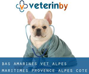 Bas Amarines vet (Alpes-Maritimes, Provence-Alpes-Côte d'Azur)
