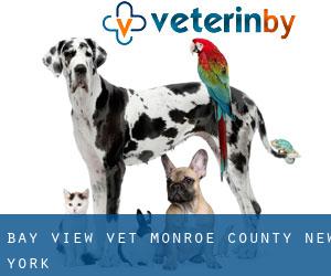 Bay View vet (Monroe County, New York)