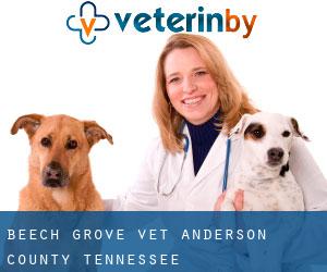 Beech Grove vet (Anderson County, Tennessee)