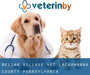 Belian Village vet (Lackawanna County, Pennsylvania)