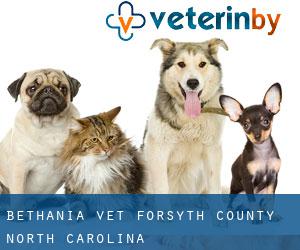 Bethania vet (Forsyth County, North Carolina)