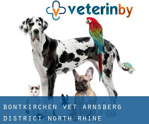 Bontkirchen vet (Arnsberg District, North Rhine-Westphalia)
