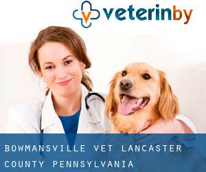 Bowmansville vet (Lancaster County, Pennsylvania)