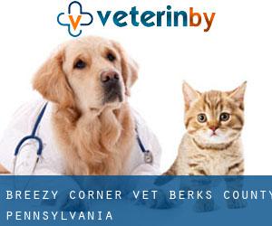 Breezy Corner vet (Berks County, Pennsylvania)