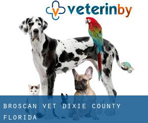 Broscan vet (Dixie County, Florida)