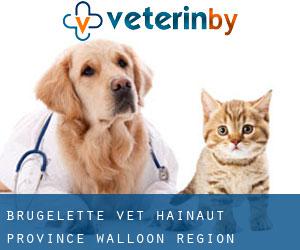 Brugelette vet (Hainaut Province, Walloon Region)