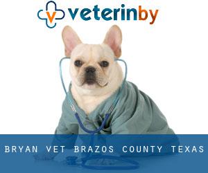 Bryan vet (Brazos County, Texas)