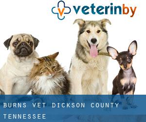 Burns vet (Dickson County, Tennessee)