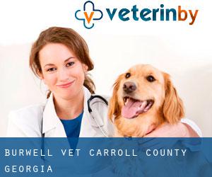 Burwell vet (Carroll County, Georgia)
