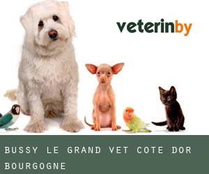 Bussy-le-Grand vet (Cote d'Or, Bourgogne)
