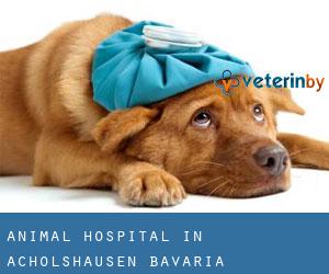 Animal Hospital in Acholshausen (Bavaria)