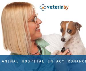 Animal Hospital in Acy-Romance