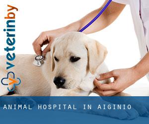 Animal Hospital in Aigínio