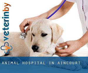 Animal Hospital in Aincourt