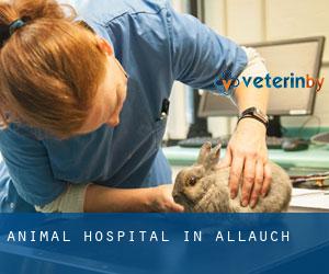 Animal Hospital in Allauch
