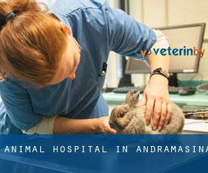 Animal Hospital in Andramasina