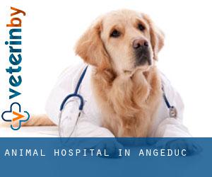 Animal Hospital in Angeduc