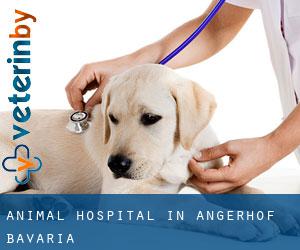 Animal Hospital in Angerhof (Bavaria)