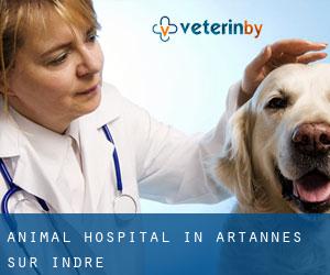 Animal Hospital in Artannes-sur-Indre