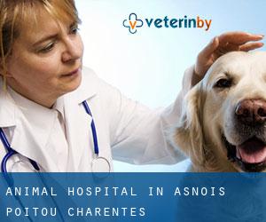 Animal Hospital in Asnois (Poitou-Charentes)