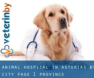 Animal Hospital in Asturias by city - page 1 (Province)