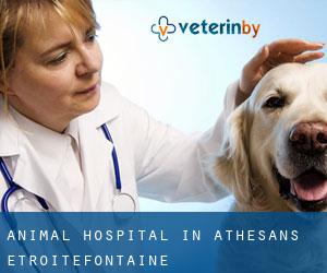 Animal Hospital in Athesans-Étroitefontaine