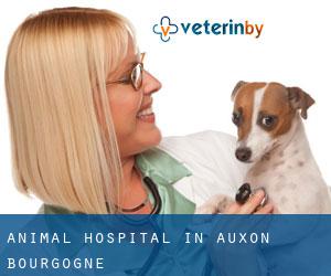 Animal Hospital in Auxon (Bourgogne)