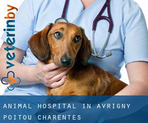 Animal Hospital in Avrigny (Poitou-Charentes)