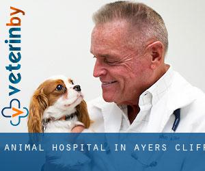 Animal Hospital in Ayer's Cliff