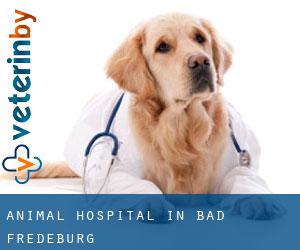 Animal Hospital in Bad Fredeburg