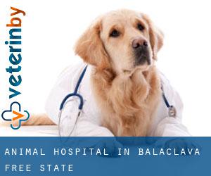 Animal Hospital in Balaclava (Free State)