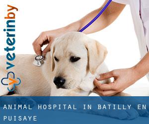 Animal Hospital in Batilly-en-Puisaye