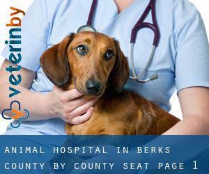 Animal Hospital in Berks County by county seat - page 1