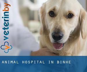Animal Hospital in Binhe