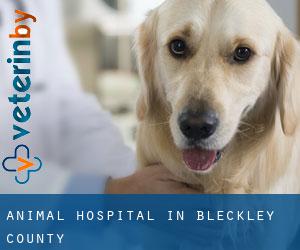 Animal Hospital in Bleckley County