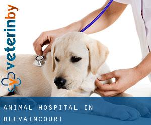 Animal Hospital in Blevaincourt