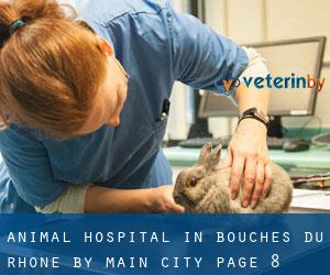 Animal Hospital in Bouches-du-Rhône by main city - page 8