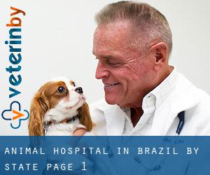 Animal Hospital in Brazil by State - page 1
