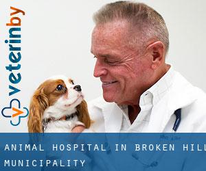 Animal Hospital in Broken Hill Municipality