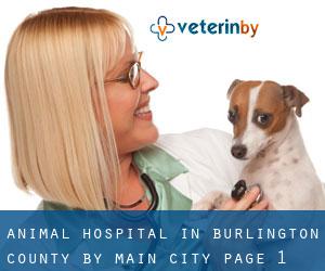 Animal Hospital in Burlington County by main city - page 1