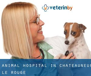 Animal Hospital in Châteauneuf-le-Rouge